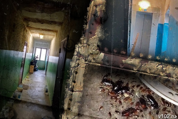 Аварийный дом по улице Сологубова в Волгограде. Фото: ИА "Высота 102" https://v102.ru/news/144140.html